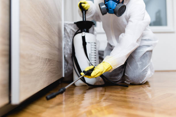 Best Mosquito Control Services  in Cokato, MN