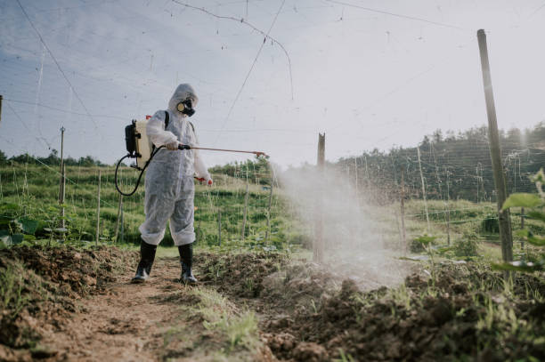 Best Pest Prevention Services  in Cokato, MN
