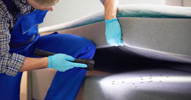 Best Best Pest Control Companies  in Cokato, MN