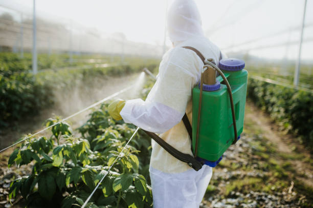 Best Pest Inspection Near Me  in Cokato, MN